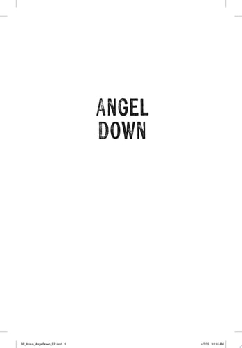 Angel Down A Novel — Daniel Kraus