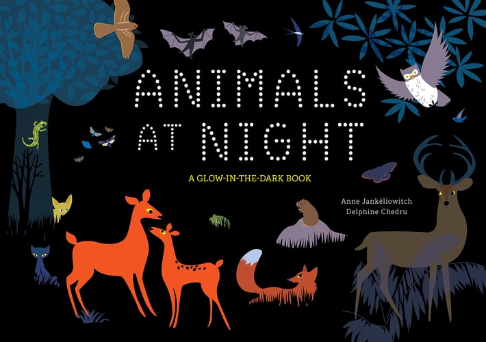Animals at Night A Glow-In-the-Dark Book — Anne Jankeliowitch
