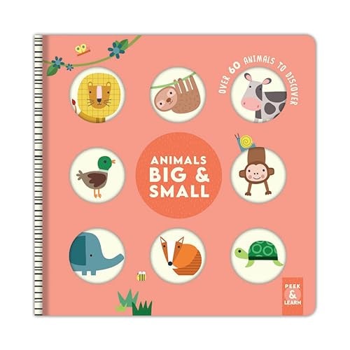 Animals Big & Small Over 60 Animals to Discover — Rebecca Weerasekera