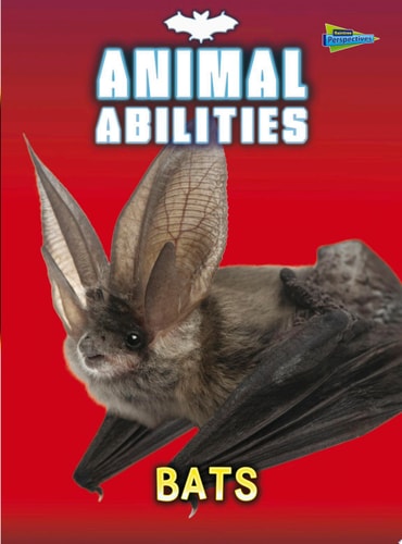 Bats — Charlotte Guillain