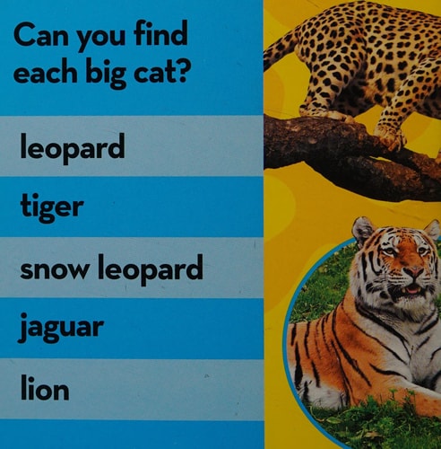 Big Cats — National Geographic Kids