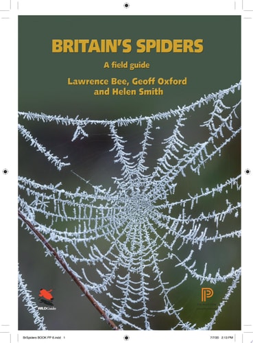 Britain’s Spiders A Field Guide – Fully Revised and Updated Second Edition — Lawrence Bee