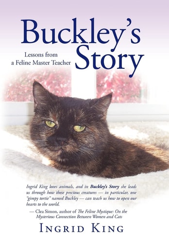 Buckley’s Story — Ingrid King