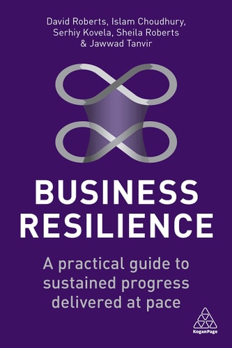 Business Resilience A Practical Guide to Sustained Progress Delivered at Pace — David Roberts