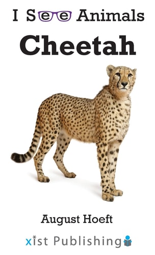 Cheetah — August Hoeft