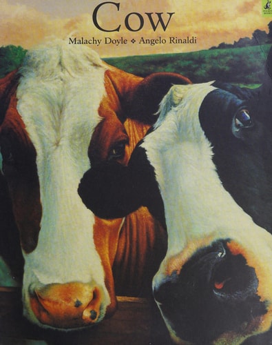 Cow — Malachy Doyle