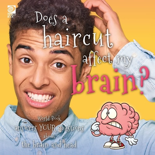 Does a Haircut Affect My Brain? World Book Answers Your Questions about the Brain and Head — World Book