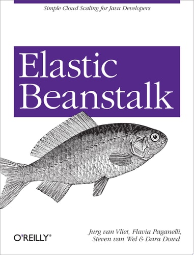 Elastic Beanstalk — Vliet, Jurg van