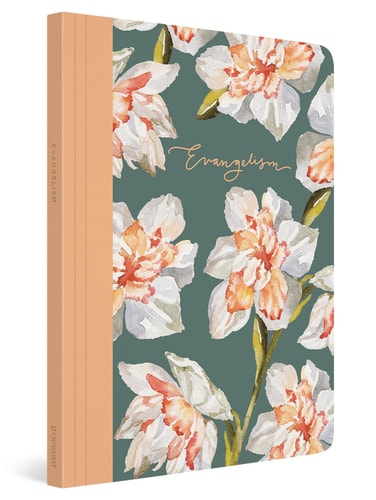 ESV Prayer Journal 30 Days on Evangelism (Paperback) — Erika Allen