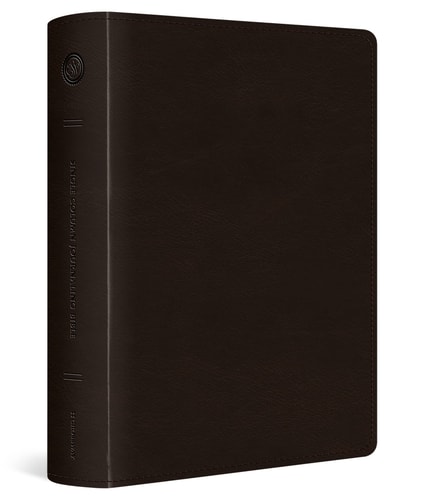 ESV Single Column Journaling Bible, Large Print (TruTone, Deep Brown) — ESV Bibles