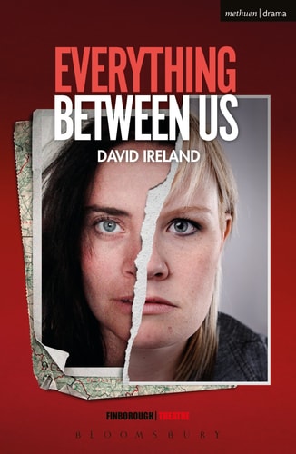 Everything Between Us — David Ireland