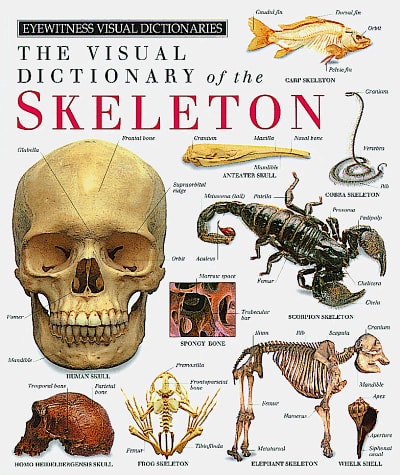 Eyewitness Visual Dictionary of the Skeleton — Richard Walker