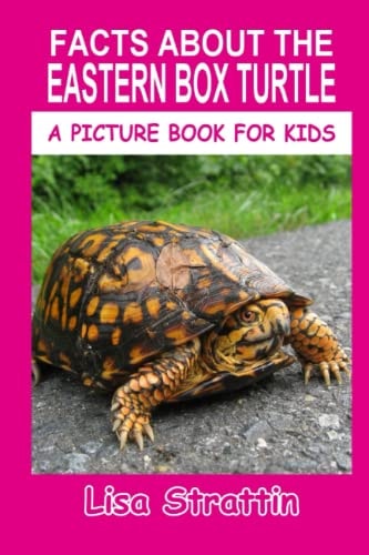 Facts About The Eastern Box Turtle (A Picture Book For Kids) — Lisa Strattin
