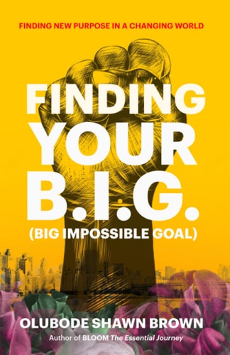 Finding Your B.I.G. — Olubode Shawn Brown