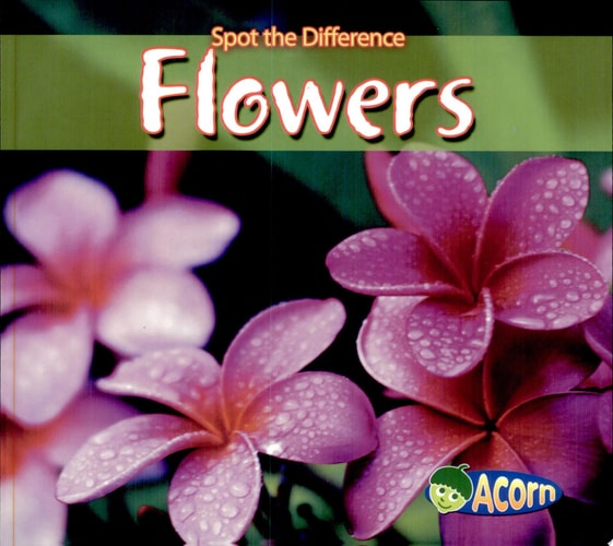 Flowers — Charlotte Guillain