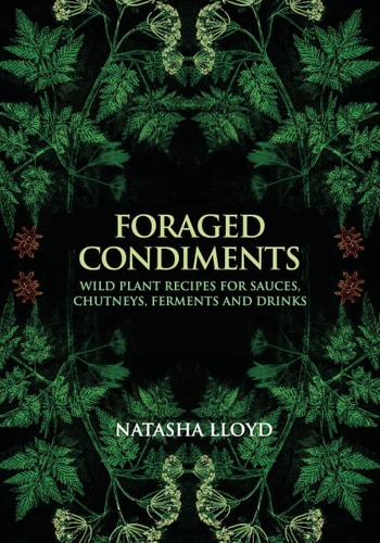 Foraged Condiments — Natasha Lloyd