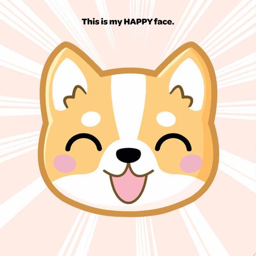 Friendly Faces A First Book of Friendship and Feelings — Insight Insight Editions