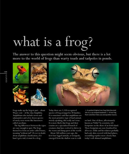 Frog: A Photographic Portrait — Thomas Marent