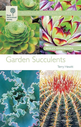 Garden Succulents — Terry Hewitt