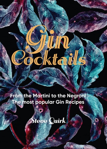 Gin Cocktails From the Martini to the Negroni. the Most Popular Gin Recipes — Steve Quirk