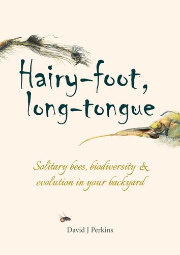 Hairy-foot, Long-tongue Solitary Bees, Biodiversity & Evolution in your Backyard — David J. Perkins