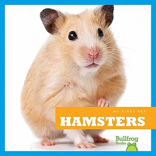 Hamsters — Cari Meister