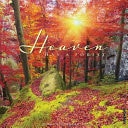 Heaven Has a Forest 2026 12 X 12 Wall Calendar — Willow Creek Press