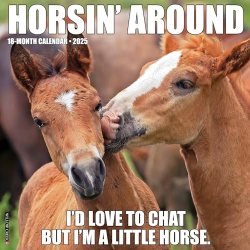 Horsin’ Around 2026 12 X 12 Wall Calendar — Willow Creek Press