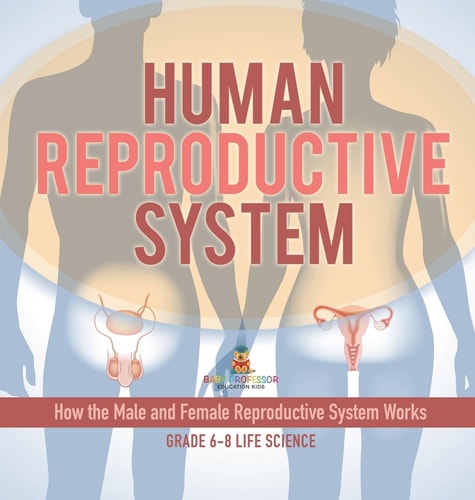 Human Reproductive System How the Male and Female Reproductive System Works Grade 6-8 Life Science — Baby