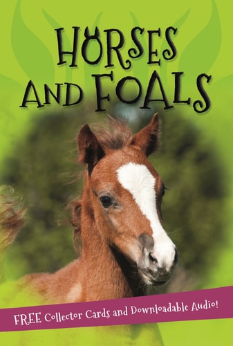 It’s All About… Horses and Foals — Kingfisher