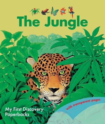 Jungle — René Mettler