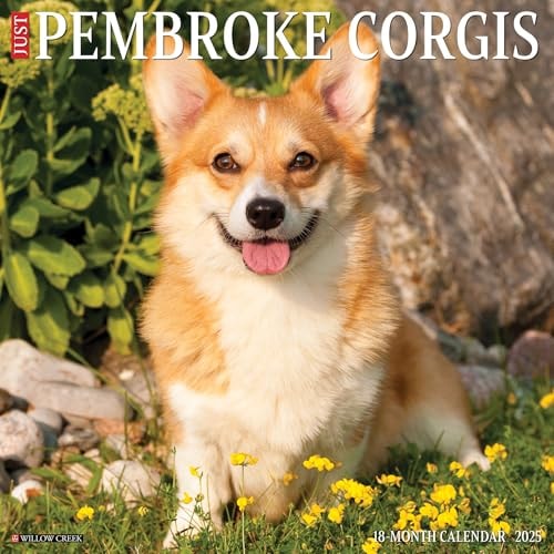 Just Pembroke Corgis 2025 12 X 12 Wall Calendar — Willow Creek Press