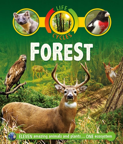 Life Cycles: Forest — Sean Callery