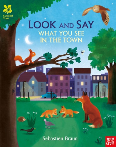 Look and Say What You See in the Town — Sebastien Braun