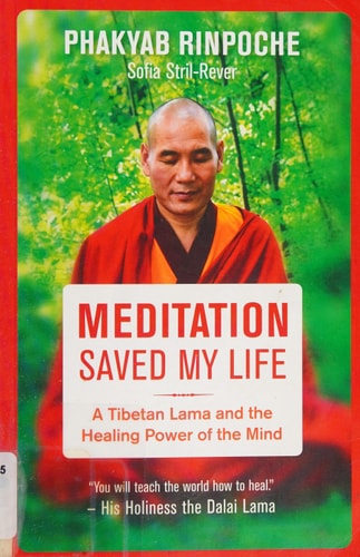 Meditation Saved My Life A Tibetan Lama and the Healing Power of the Mind — Phakyab Rinpoche
