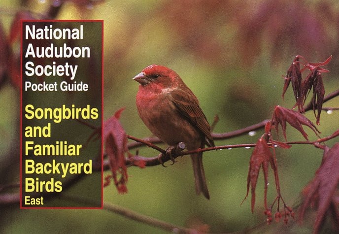 National Audubon Society Pocket Guide to Songbirds and Familiar Backyard Birds: Eastern Region East — National Audubon Society