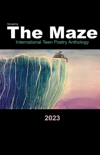 Navigating the Maze — Anita Stienstra