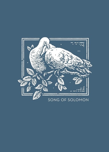 NET Abide Bible Journal – Song of Solomon, Paperback, Comfort Print Softcover — Thomas Nelson