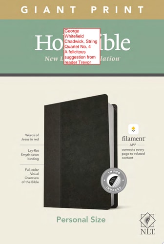 NLT Personal Size Giant Print Bible, Filament Enabled Edition — Tyndale