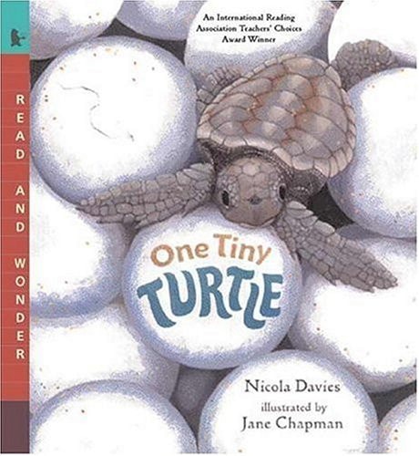 One Tiny Turtle Read and Wonder — Nicola Davies