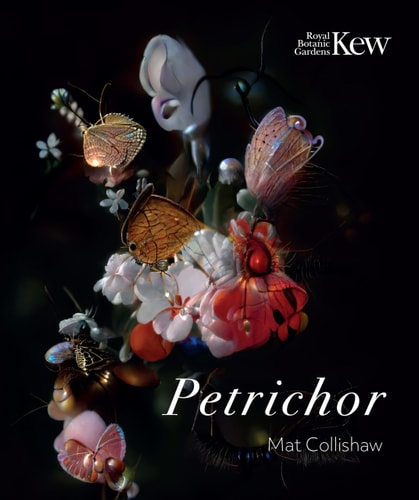 Petrichor — Mat Collishaw
