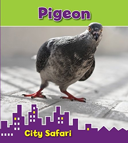 Pigeon — Isabel Thomas