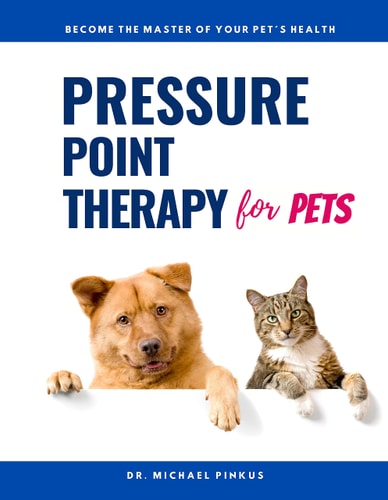 Pressure Point Therapy — Michael Pinkus