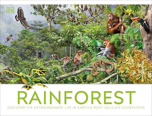 Rainforest — Michael Leach