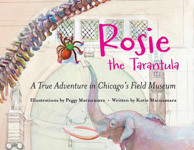 Rosie the Tarantula A True Adventure in Chicago’s Field Museum — Katie Macnamara