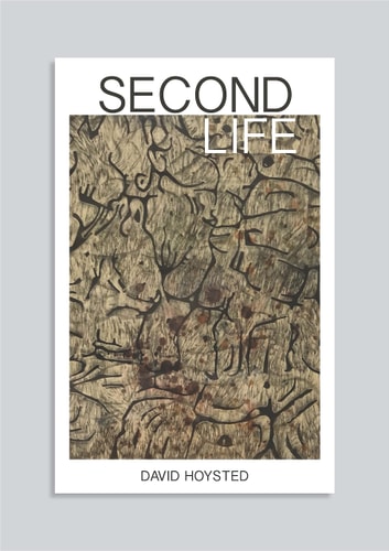 Second Life A Story of Love, Loss and Hope — David Hoysted