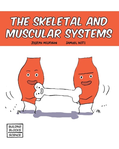 Skeletal and Muscular Systems — Joseph Midthun