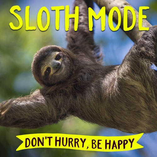 Sloth Mode Don’t Hurry, Be Happy — Willow Creek Press