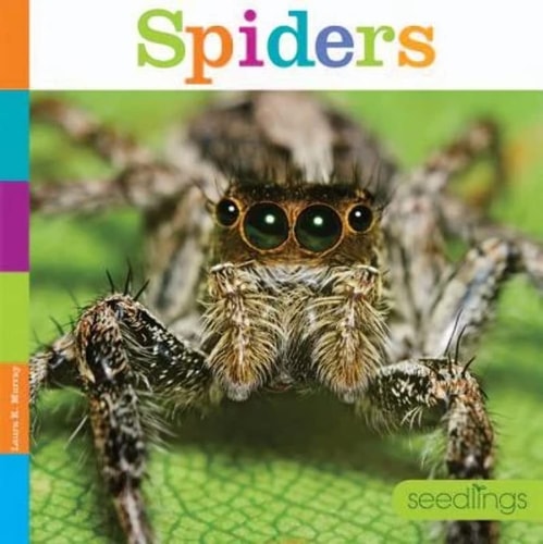 Spiders — Laura K. Murray