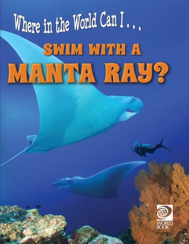 Swim with a Manta Ray? — Grace Guibert